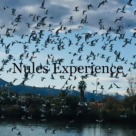Apartamento Nules Experience Mascarell 外观 照片