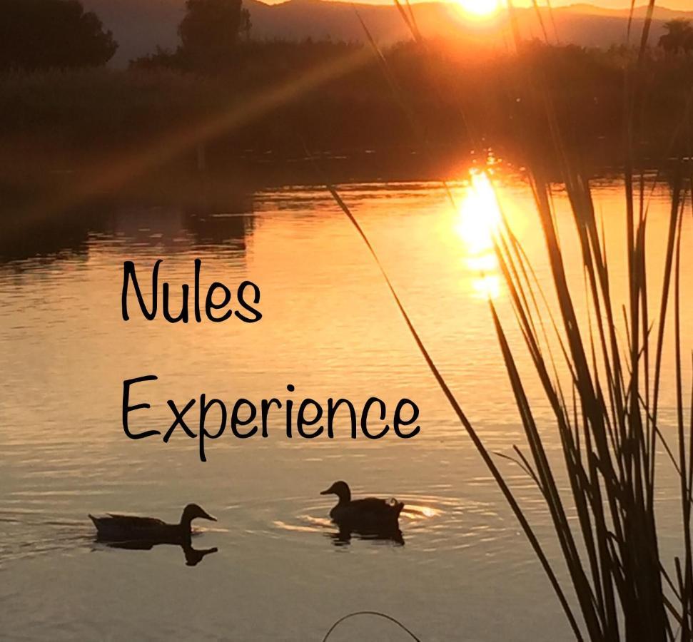 Apartamento Nules Experience Mascarell 外观 照片